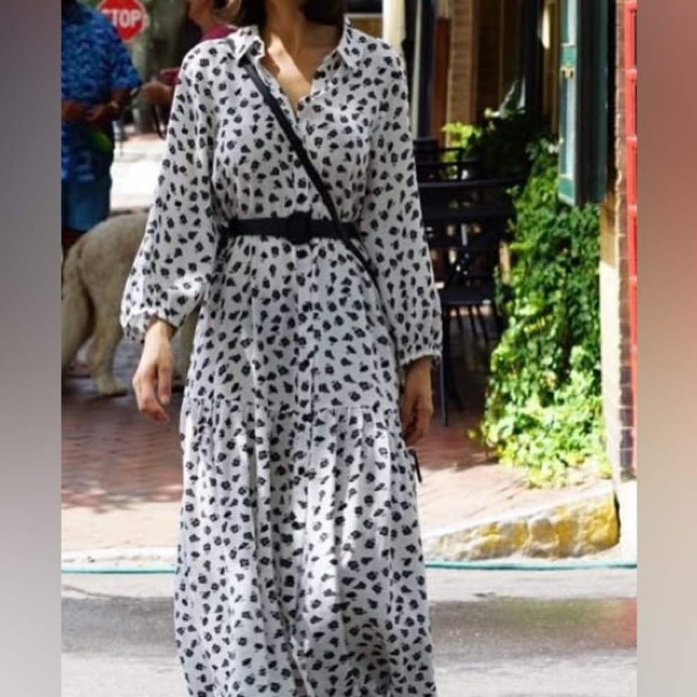 Zara Dress